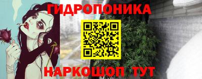 jwh Чебоксары