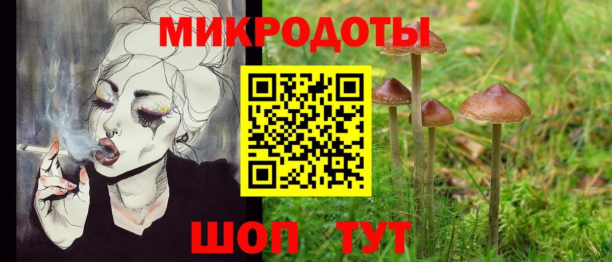Псилоцибиновые грибы Psilocybe Брянск
