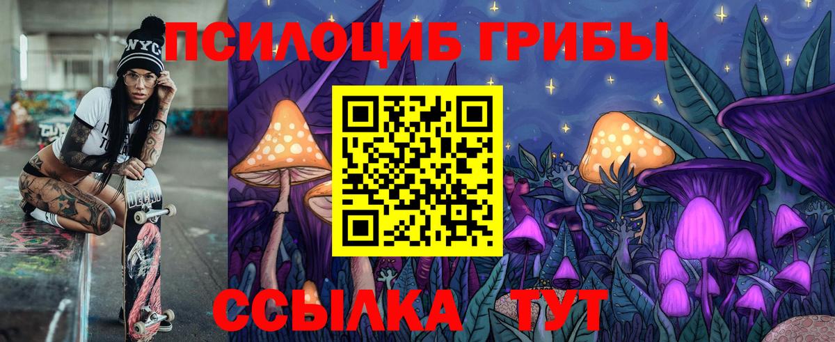 продажа наркотиков  Галлюциногенные грибы Psilocybe  Вход с VPN  Брянск 